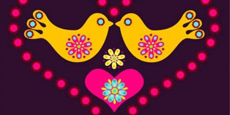 love birds love birds