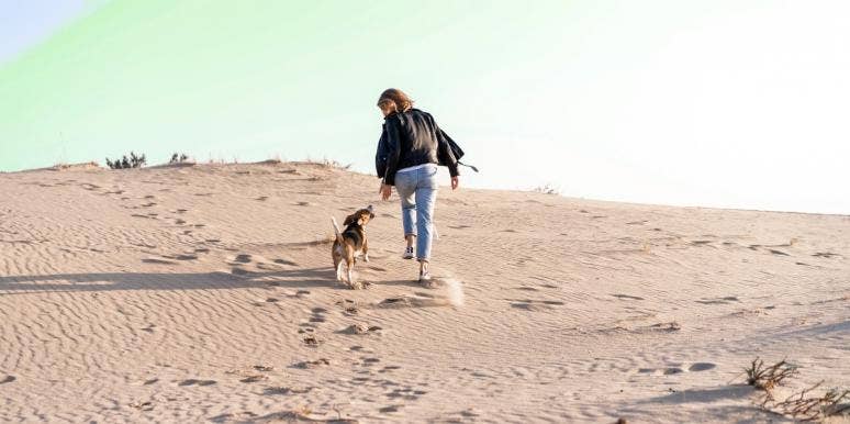 Luna The Blue Beagle Proves You Can Fall In Love Again After Losing A Pet Luna The Blue Beagle Proves You Can Fall In Love Again After Losing A Pet