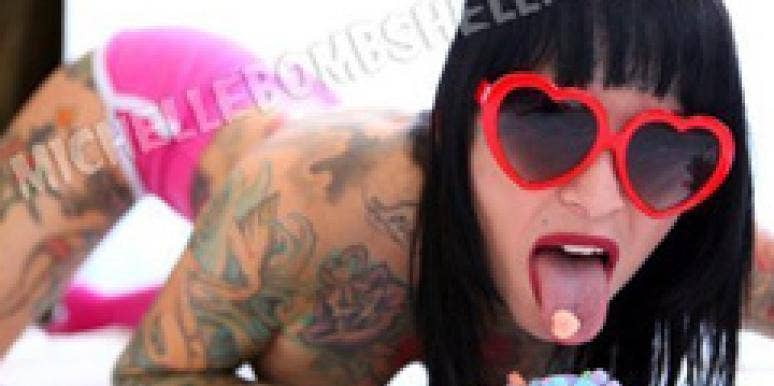 Jesse James Cheated On Sandra Bullock With This Michelle Bombshell McGee Pictures
