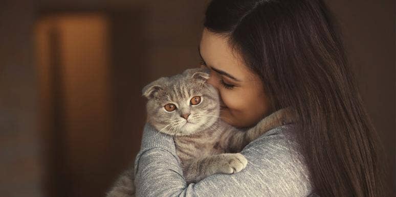 8 Reasons Why My Narcissistic Cat Would Be The Worst Husband Ever 8 Reasons Why My Narcissistic Cat Would Be The Worst Husband Ever