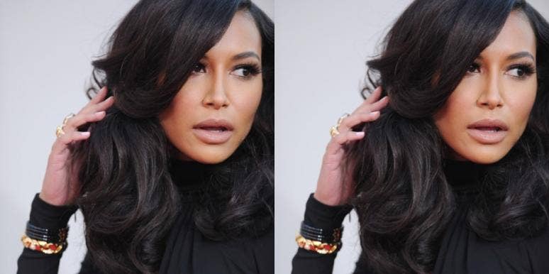 Naya Rivera Naya Rivera assault husband