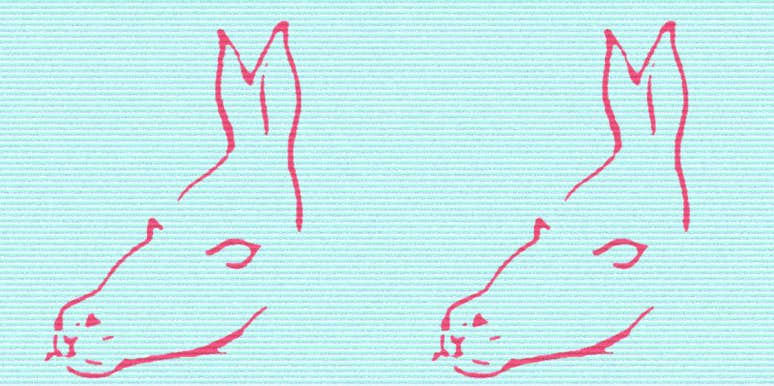 What The Fish Or Mermaid Optical Illusion Test Really Says About You fish or mermaid optical illusion personality test