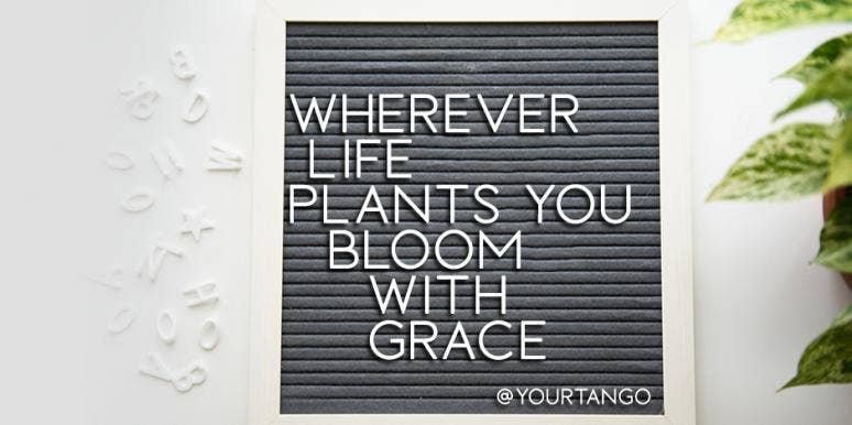 Positive Letter Board Quotes For Life In Quarantine Positive Letter Board Quotes For Life In Quarantine