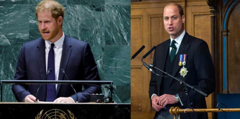 Prince Harry Accused Of Copying Prince William In UN Speech Prince Harry Accused Of Copying Prince William In UN Speech