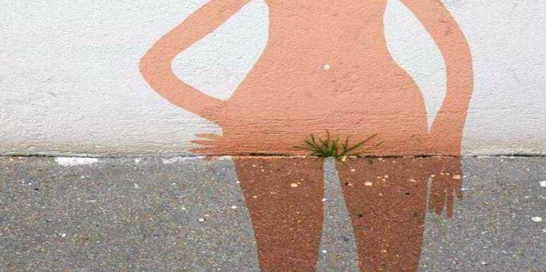 pubic hair pubic hair