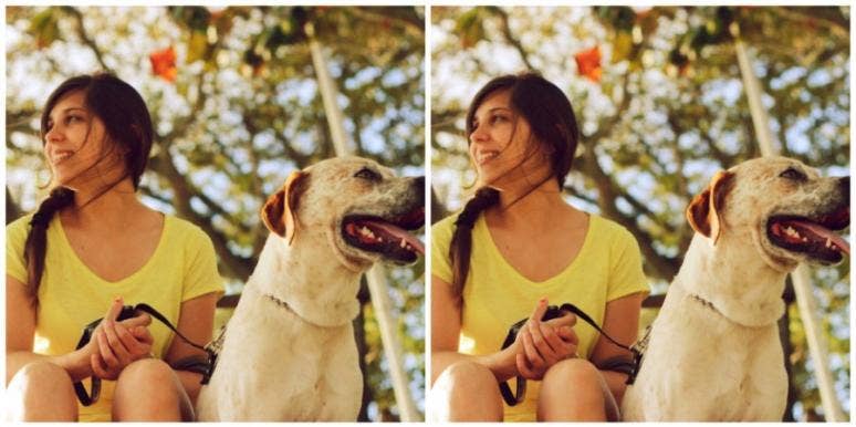 5 Questions To Ask Yourself Before Adopting A Pet During Covid 19 Yourtango