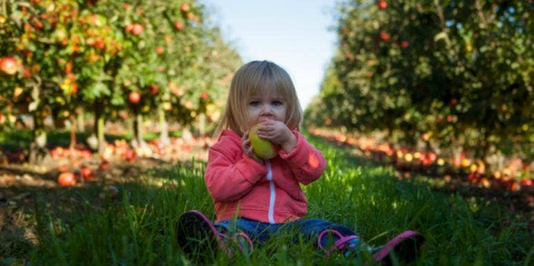 why this restaurant bans kids why this restaurant bans kids