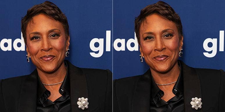 Who Is Robin Roberts' Girlfriend? Everything To Know About Amber Laign Who Is Robin Roberts' Girlfriend? Everything To Know About Amber Laign