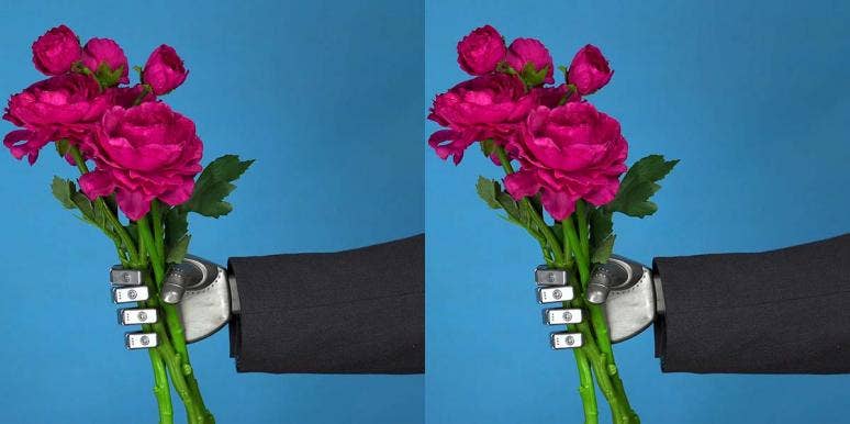 Couple Married By Robot In Japan Couple Married By Robot In Japan