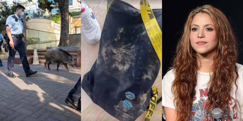 Shakira Recounts Wild Boar Attack That Destroyed Her Handbag | YourTango