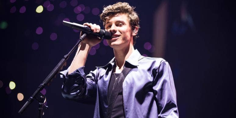 Why Do People Think Shawn Mendes Is Gay? Shawn Mendes