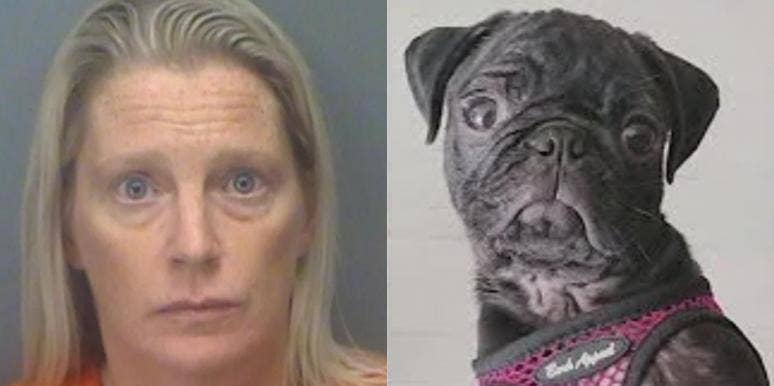 Shelley Nicole Vaughn Arrested After Allegedly Throwing Ex-Boyfriend's Dog Over Balcony Shelley Nicole Vaughn, pug Bucky