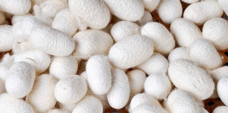 I Tried The Korean Skin-Care Trend Of Cleaning My Face With Silkworm Cocoons