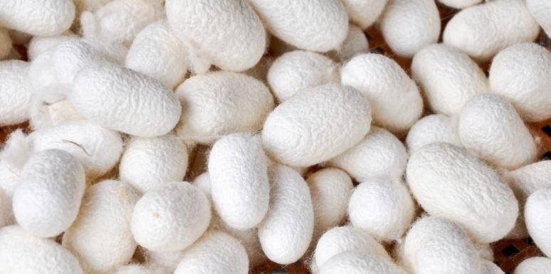 I Tried The Korean Skin-Care Trend Of Cleaning My Face With Silkworm Cocoons I Tried The Korean Skin-Care Trend Of Cleaning My Face With Silkworm Cocoons