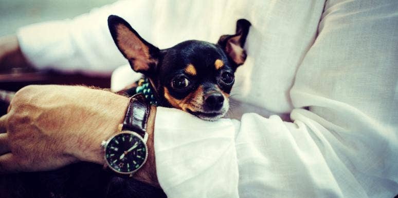 7 Ways To LOVE The Fact That Your Man Has A Small Penis 7 Ways To LOVE The Fact That Your Man Has A Small Penis