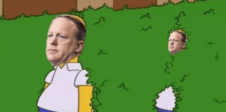 17 Memes Of Sean Spicer Hiding In A Bush From The Press