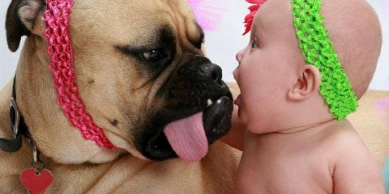 Videos: babies and dogs videos: babies and dogs