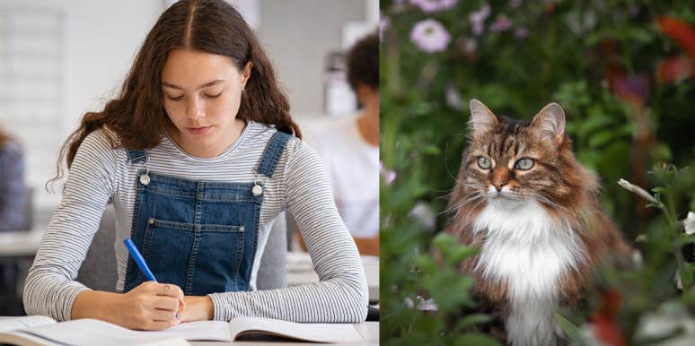 student taking notes, cat surrounded by flowers