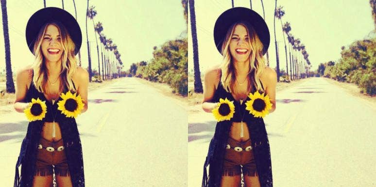 sunflower sunflower