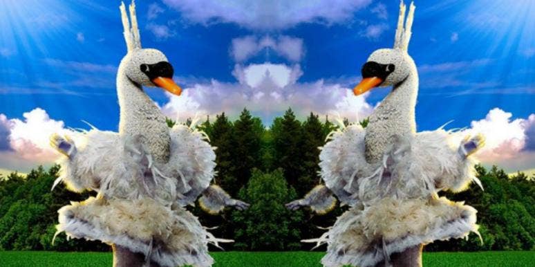 Who Is The Swan On 'The Masked Singer'? Masked Singer Spoilers Ahead! Who Is The Swan On 'The Masked Singer'? Masked Singer Spoilers Ahead!