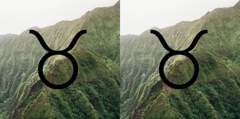 taurus symbol taurus symbol