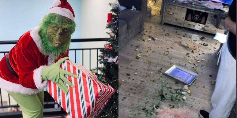 Mother Complains After 'The Grinch' Visit Left Her House Destroyed The Grinch destroys house