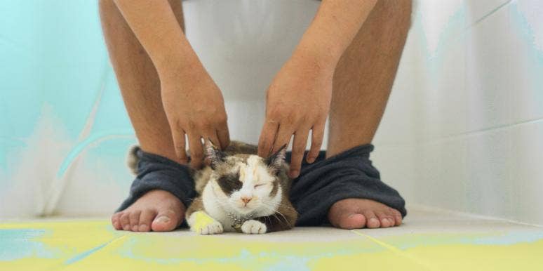 Sh*t Happens: 7 Ways To Train Yourself To Poop Like A CHAMP Sh*t Happens: 7 Ways To Train Yourself To Poop Like A CHAMP
