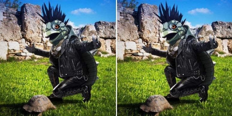 Who Is The Turtle On 'The Masked Singer'? Masked Singer Spoilers Ahead! Who Is The Turtle On 'The Masked Singer'? Masked Singer Spoilers Ahead!