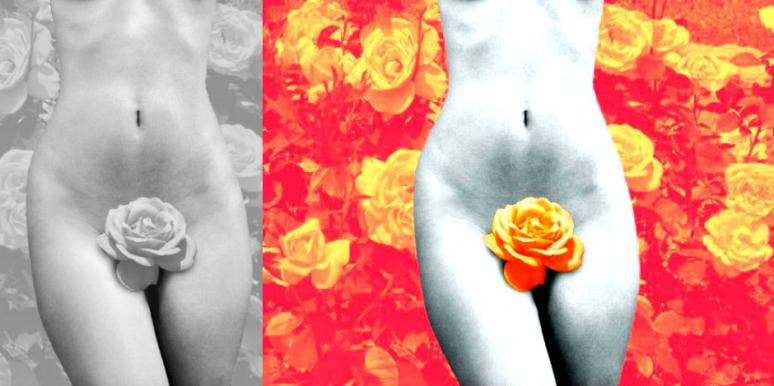 Is Your Vagina Normal? What Men Think Of The 8 Different Vagina Types