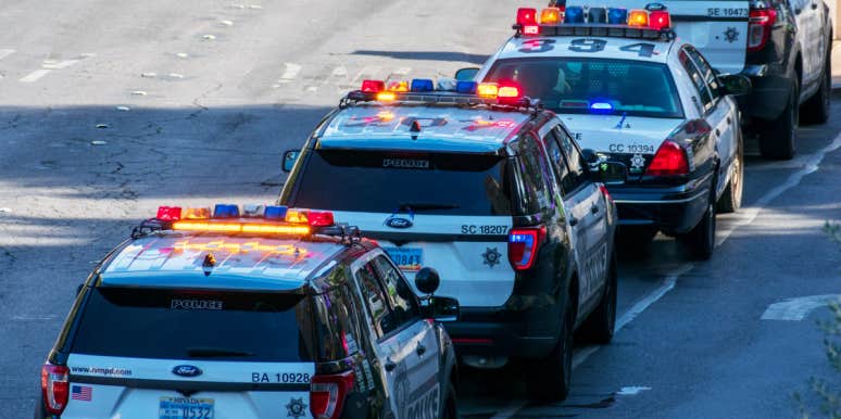14-Year-Old Girl Arrested On Valentine's Day After Using Fake Hitman Website To Try To Kill Her Ex-Boyfriend Police cars lined up