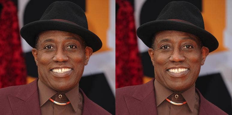 wesly snipes wesley snipes