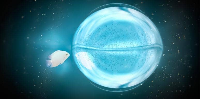 Why Are Pisces So Cold? Why Are Pisces So Cold?