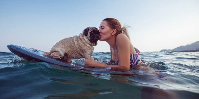 The My Dog Breed Identification Test Gets Your Results In Less Than 2 Weeks woman surfing with her dog