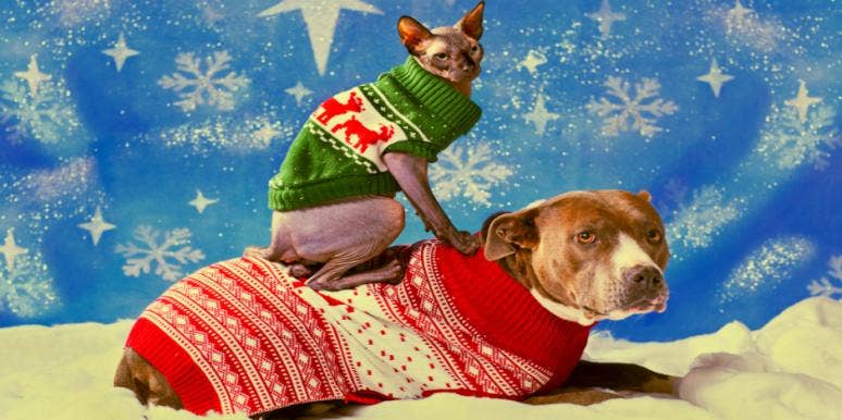 ugly holiday sweaters ugly holiday sweaters