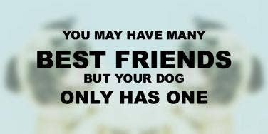 Friendship Quotes Yourtango