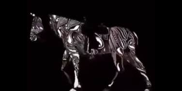 horse walking forward or backward optical illusion