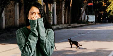 Worried superstitious woman, watching black cat cross her. 