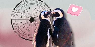 relationships get better zodiac sign march 24 30 2025