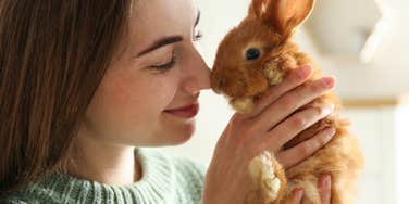 Pet bunny that passed away will use technology to reach out to owner