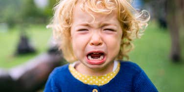Toddler having a complete meltdown.