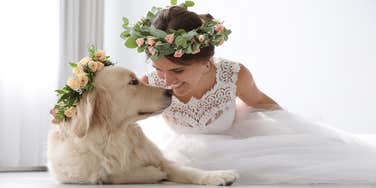 dog witnessing wedding for owner