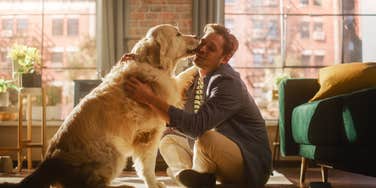 Dog reading his owner's emotions but owner struggling to do the same