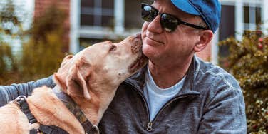 relationship dog more satisfying most humans