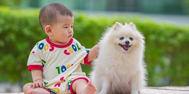 woman demands sister in law rename dog same name baby