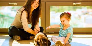 Women Who Can’t Stand Their Pets After Having Children Usually Have These Reasons