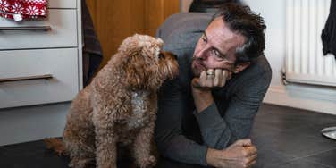 mans job stressing dog out study