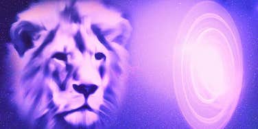 lions gate portal 2025