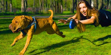 If You See A Dog Doing These Things In Public You Know They Were Not Trained Well At All