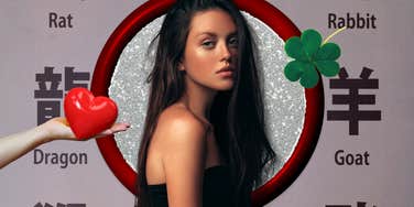 chinese zodiac signs luck love October 29 2025 chinese zodiac signs luck love October 29 2025