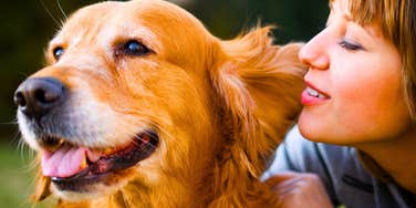 Sweet Words That Make Your Dog Feel Very Loved, According To Experts